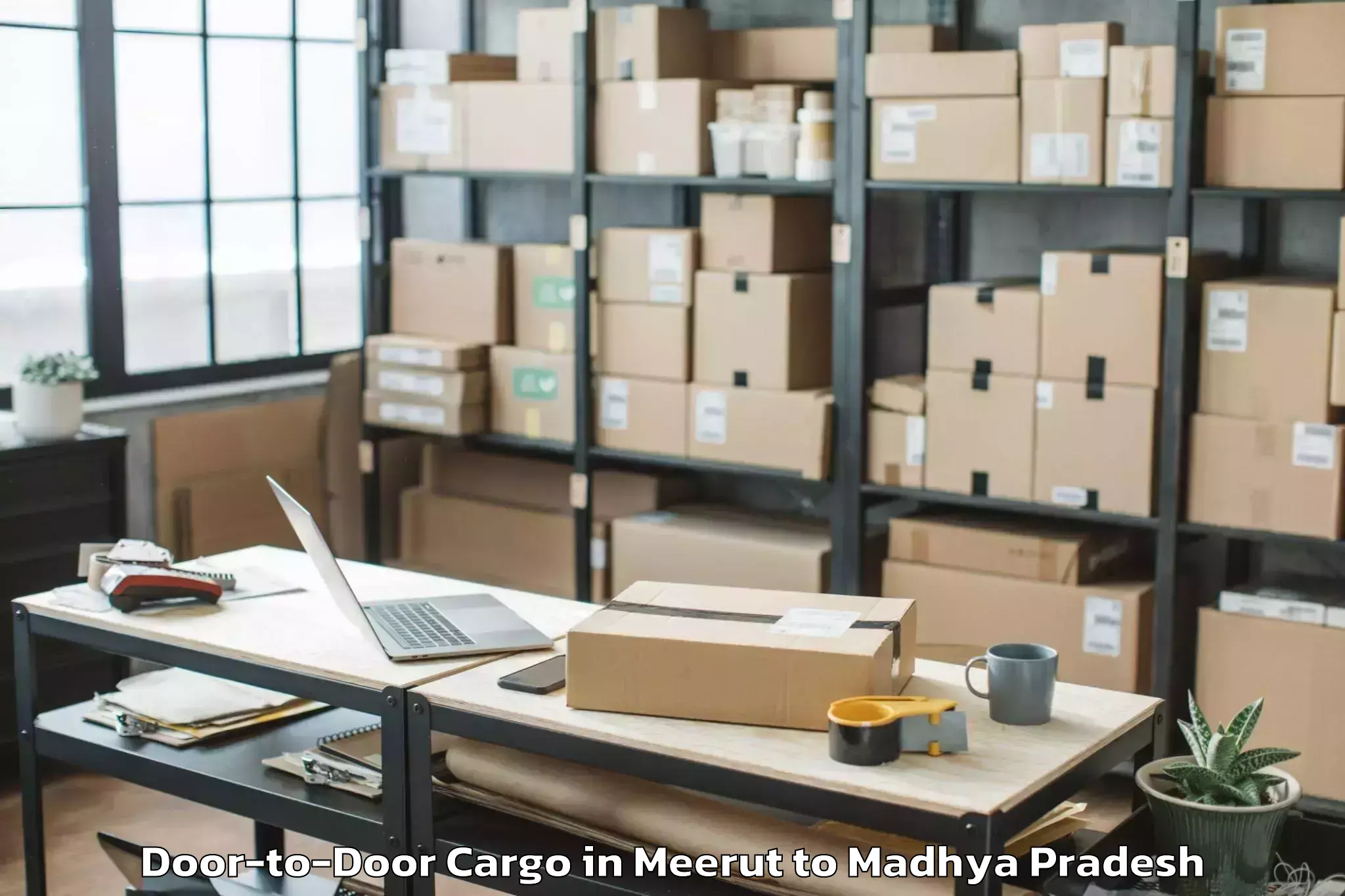 Leading Meerut to Nasrullaganj Door To Door Cargo Provider